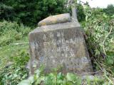 image of grave number 408738